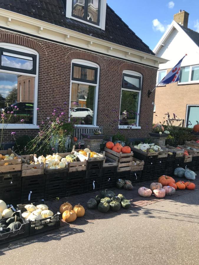 Bungalow Kleine Deichperle, Strand Und Deich In Unmittelbarer Naehe! Lemmer Buitenkant foto